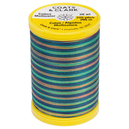 Coats & Clark Cotton Machine Quilting Multicolor Thread (225 Yards) - Clearance Shades Jewels