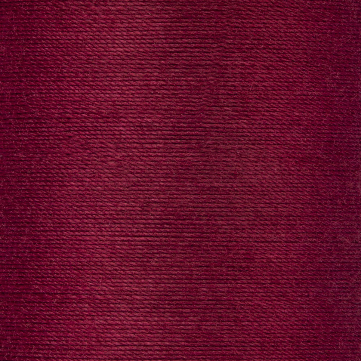 Barberry Red