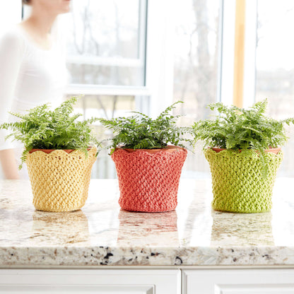 Lily Sugar'n Cream Scallop Edged Crochet Baskets Version 3