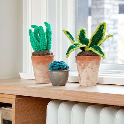 Lily Sugar'n Cream Crochet Succulents Succulent