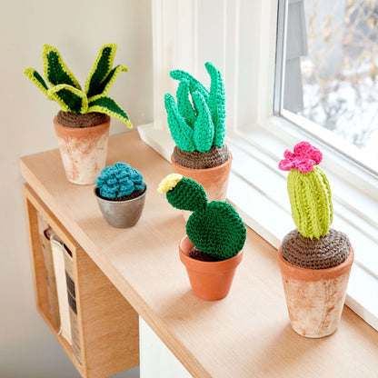 Lily Sugar'n Cream Crochet Succulents Succulent