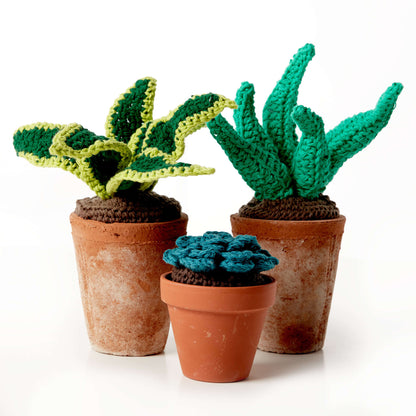 Lily Sugar'n Cream Crochet Succulents Succulent
