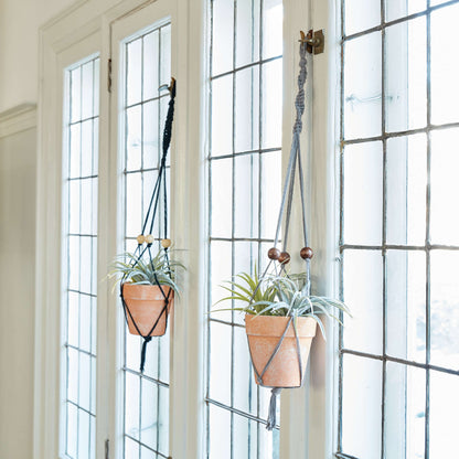 Lily Sugar'n Cream Macrame Plant Hanger Single Size