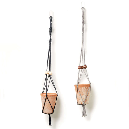 Lily Sugar'n Cream Macrame Plant Hanger Single Size