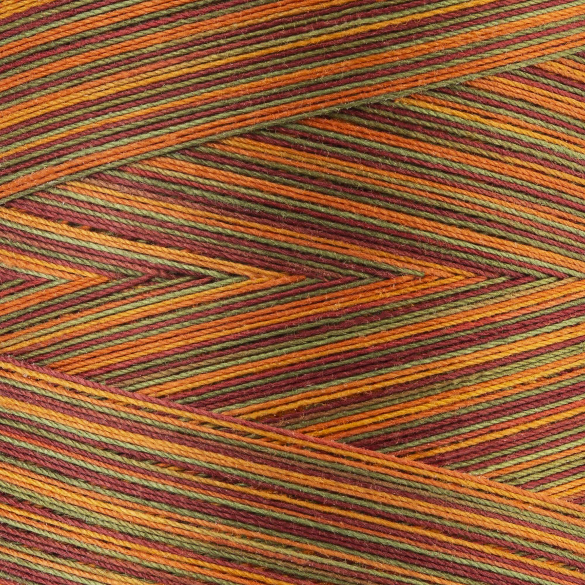Fall Leaves