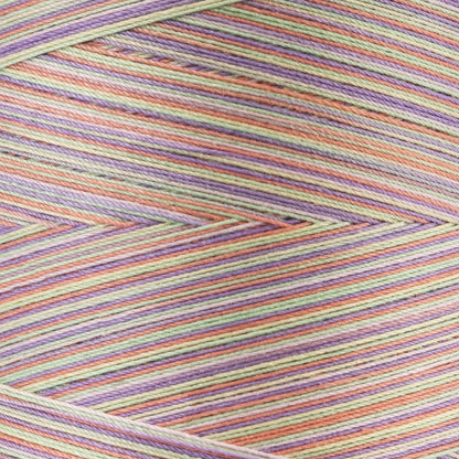 Coats & Clark Cotton Machine Quilting Multicolor Thread (1200 Yards) Sherbet