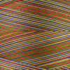 Mexicana
