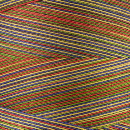 Coats & Clark Cotton Machine Quilting Multicolor Thread (1200 Yards) Mexicana